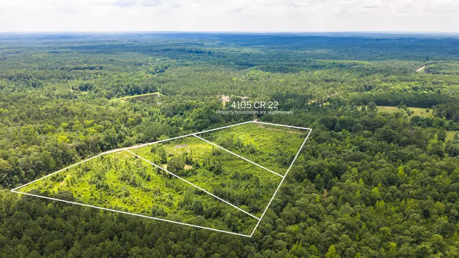 4105 County Road 22, Waverly, AL 36879 - #2
