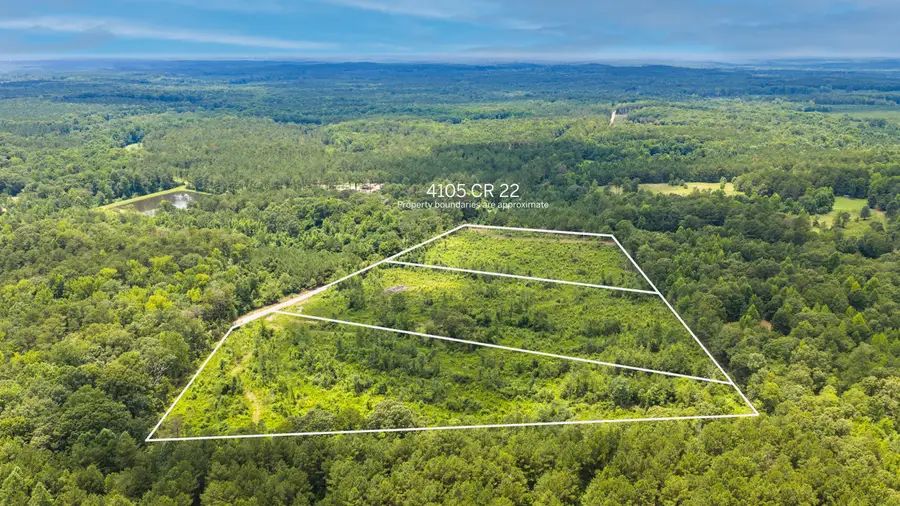 4105 County Road 22, Waverly, AL 36879 - #3