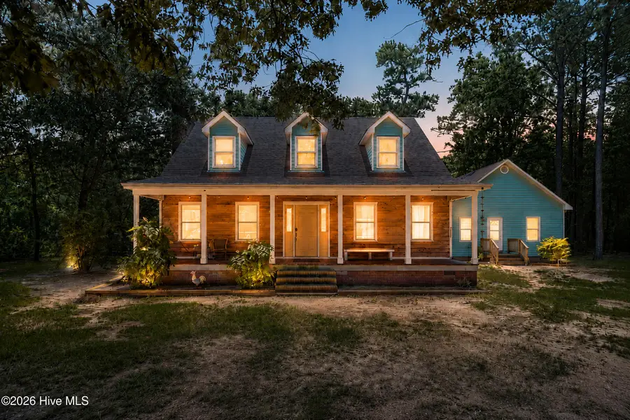 458 Annandale Trace, Hampstead, NC 28443 - #2