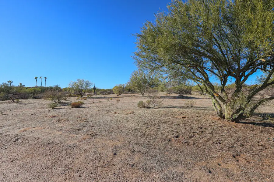 14114 E Montgomery Court #53, Tonto National Forest, AZ 85262 - #2