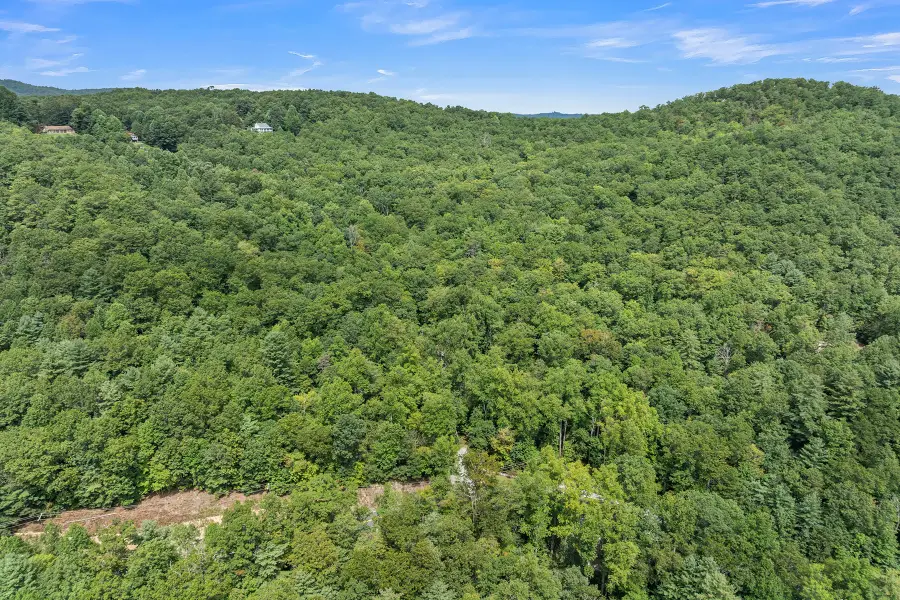 812 Crab Creek Road, Hendersonville, NC 28739 - Image #2