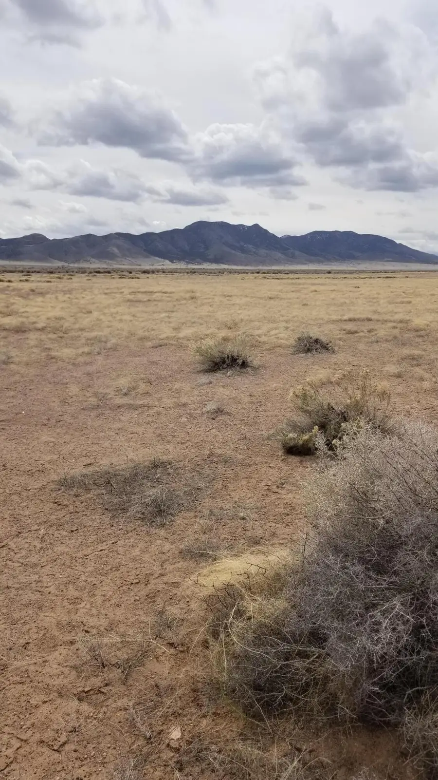 7575 N 8200 W #4301, Beryl, UT 84714 - #3