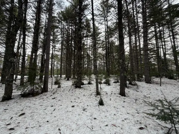 PRCL 18 Camp Nokomis Rd, Mercer, WI 54547