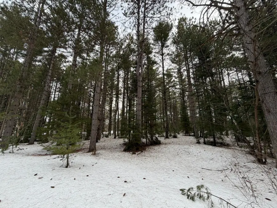 PRCL 18 Camp Nokomis Rd, Mercer, WI 54547 - #3