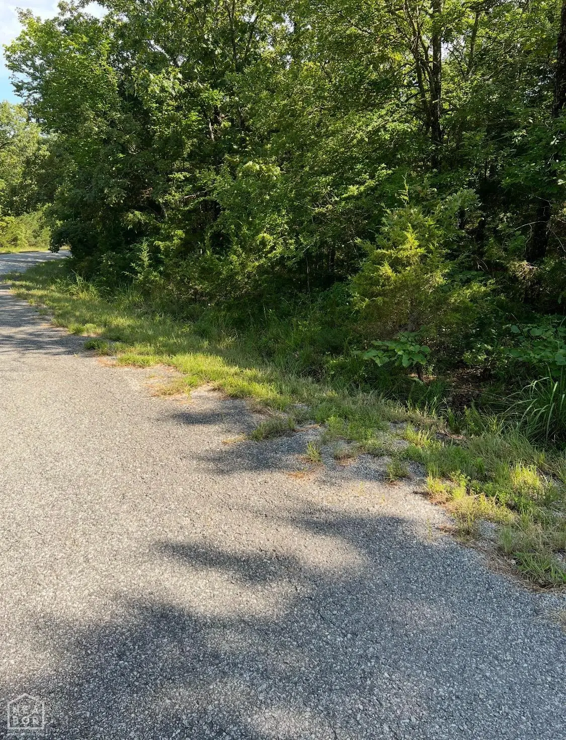 607 Regal Drive, Horseshoe Bend, AR 72512 - Image #1