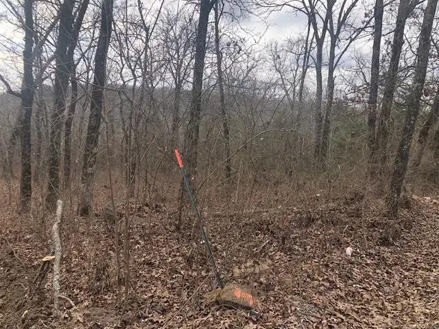 W 810 Road, Tahlequah, OK 74464 - Image #2