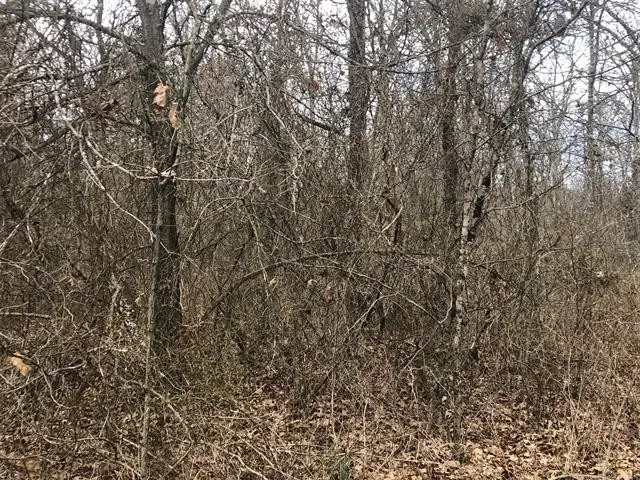 W 810 Road, Tahlequah, OK 74464 - Image #3