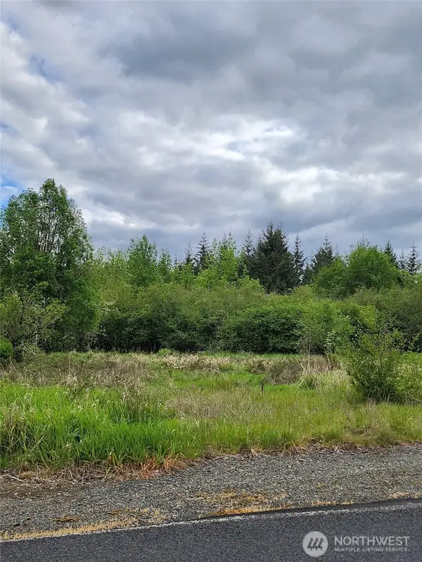 0 Henriot Road, Toledo, WA 98591