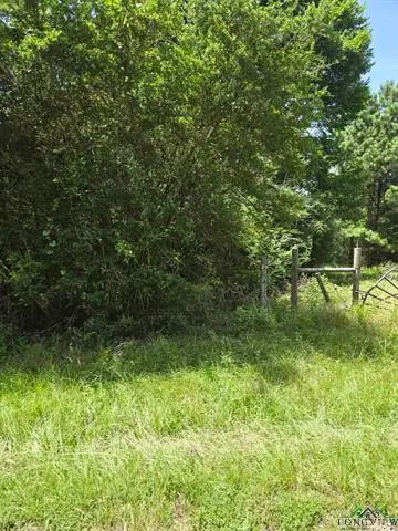 TBD CR 154, Long Branch Dotson, TX 75601 - Image #1