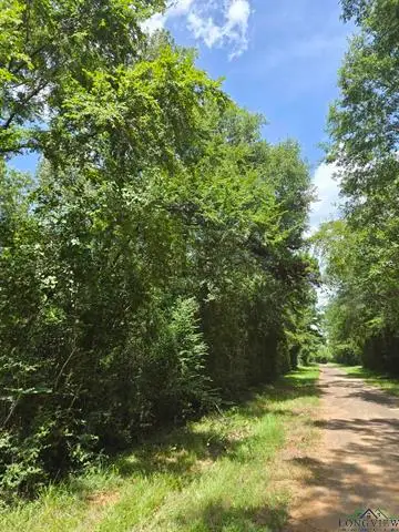TBD CR 154, Long Branch Dotson, TX 75601 - Image #2