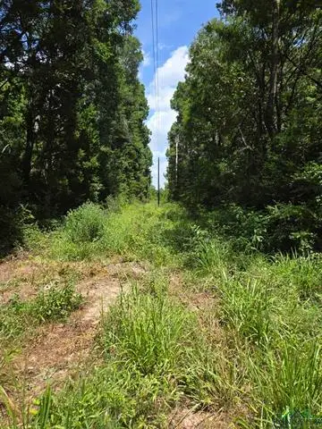 TBD CR 154, Long Branch Dotson, TX 75601 - Image #3