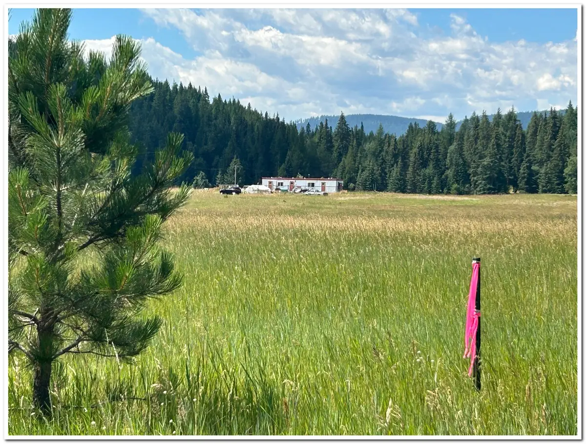 163 Firehouse Rd, Moyie Springs, ID 83845 - Image #1