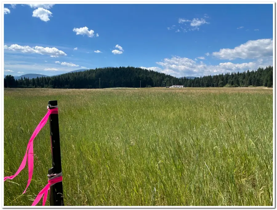 163 Firehouse Rd, Moyie Springs, ID 83845 - Image #2