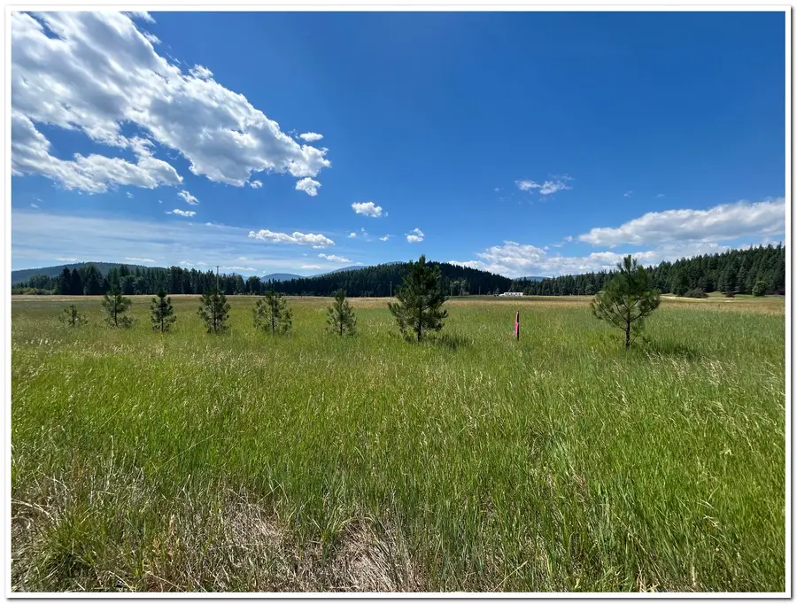 163 Firehouse Rd, Moyie Springs, ID 83845 - Image #3