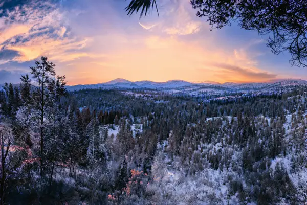 119 Granite Drive, Ruidoso, NM 88345
