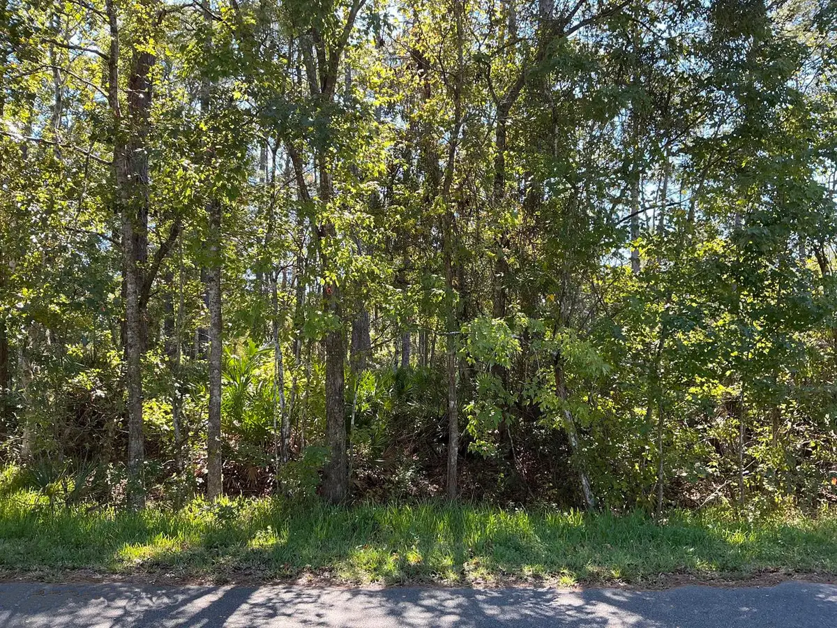 127 Landmark Avenue, Satsuma, FL 32189 - #1