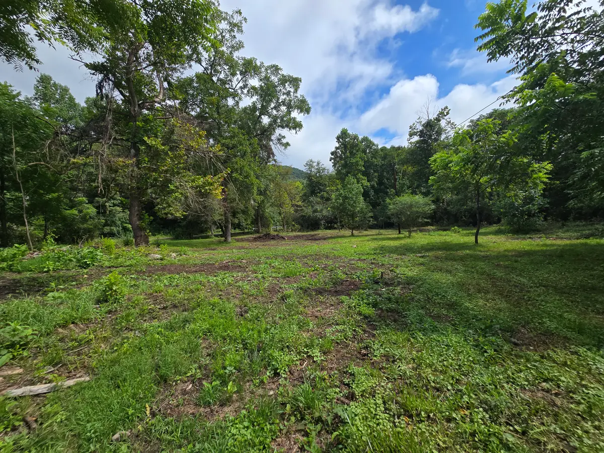 0 Valley Spring Rd, Rose Hill, VA 24281 - #1