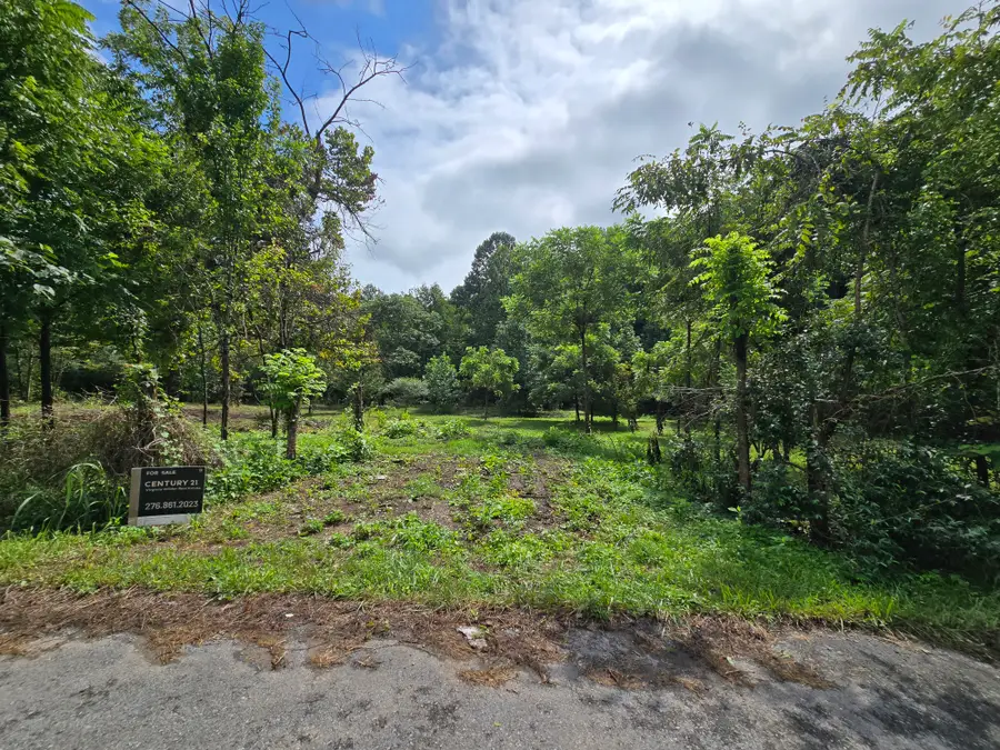 0 Valley Spring Rd, Rose Hill, VA 24281 - #3