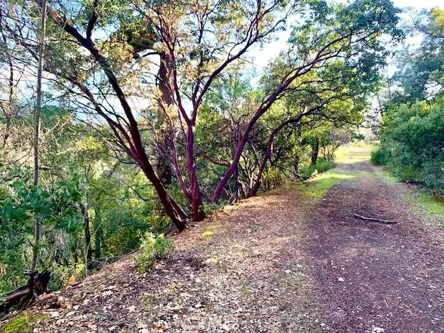 7333 Tehama, Nice, CA 95464 - Image #1