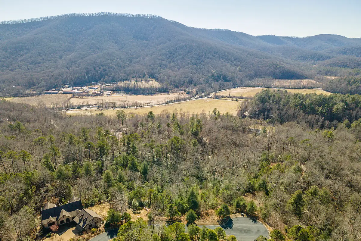 99999 Woodhen Way #138 & 139, Horse Shoe, NC 28742 - #1