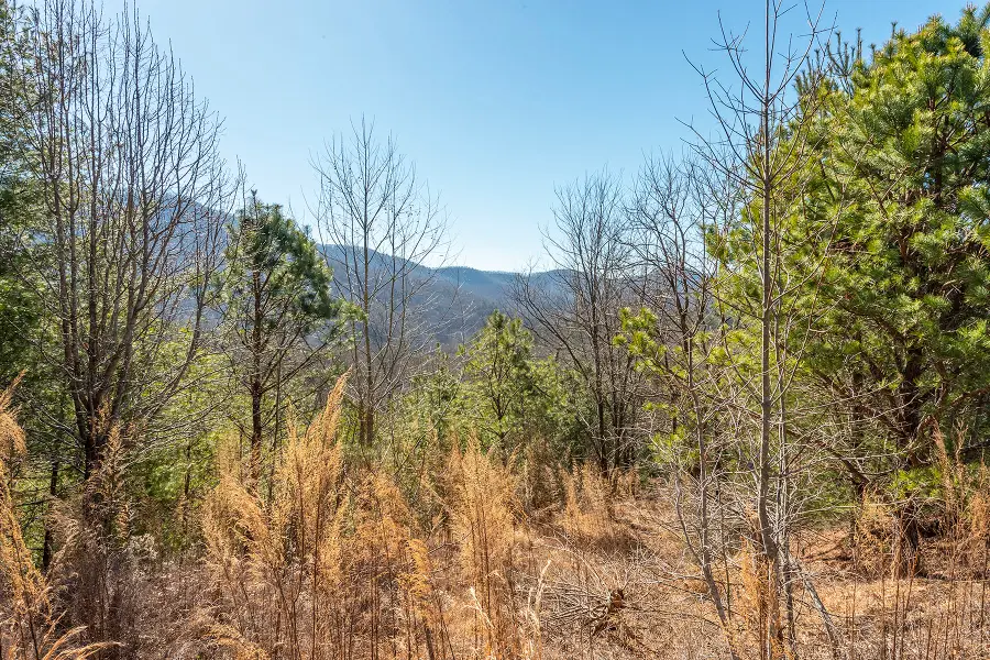 99999 Woodhen Way #138 & 139, Horse Shoe, NC 28742 - #2