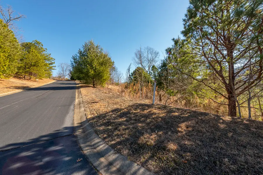 99999 Woodhen Way #138 & 139, Horse Shoe, NC 28742 - #3