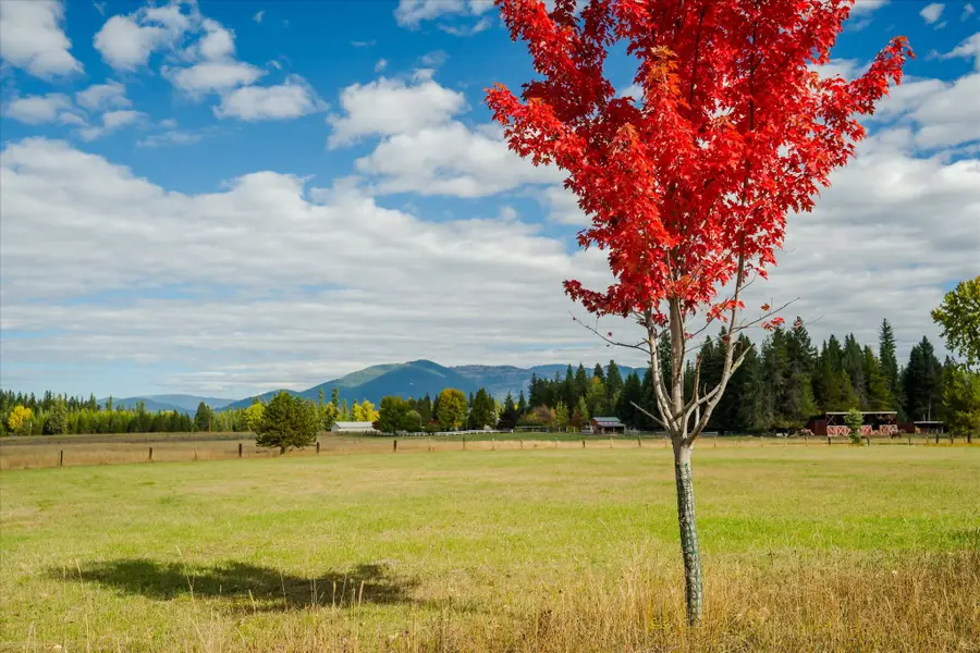 842 Taylor Road, Libby, MT 59923 - #2