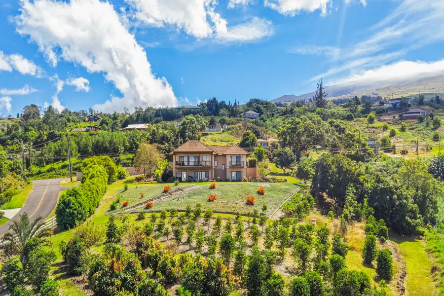 462 Ainakula Rd, Kula, HI 96790 - #2