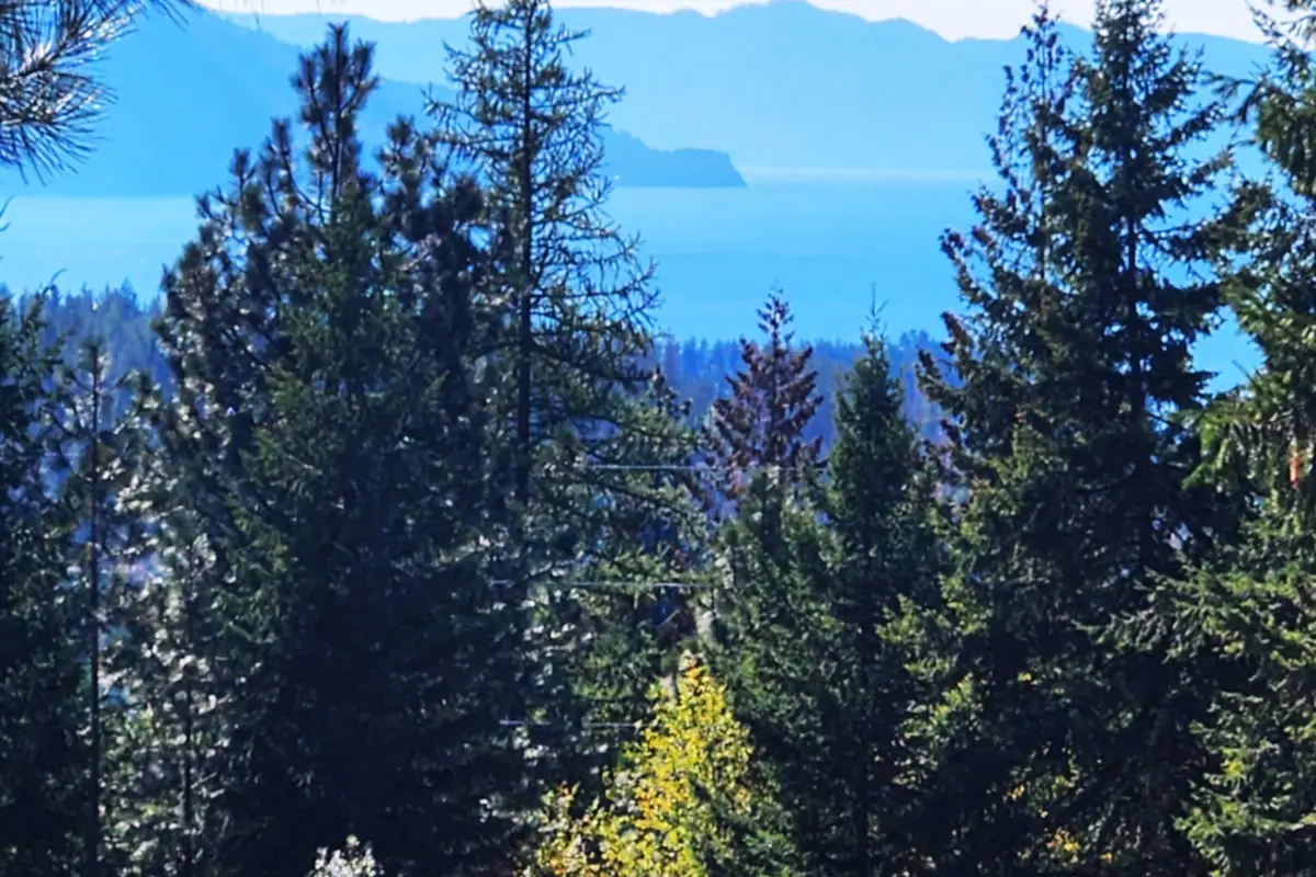 NKA Enchanted Forest (Lot 3) Ln, Hope, ID 83836 - #1