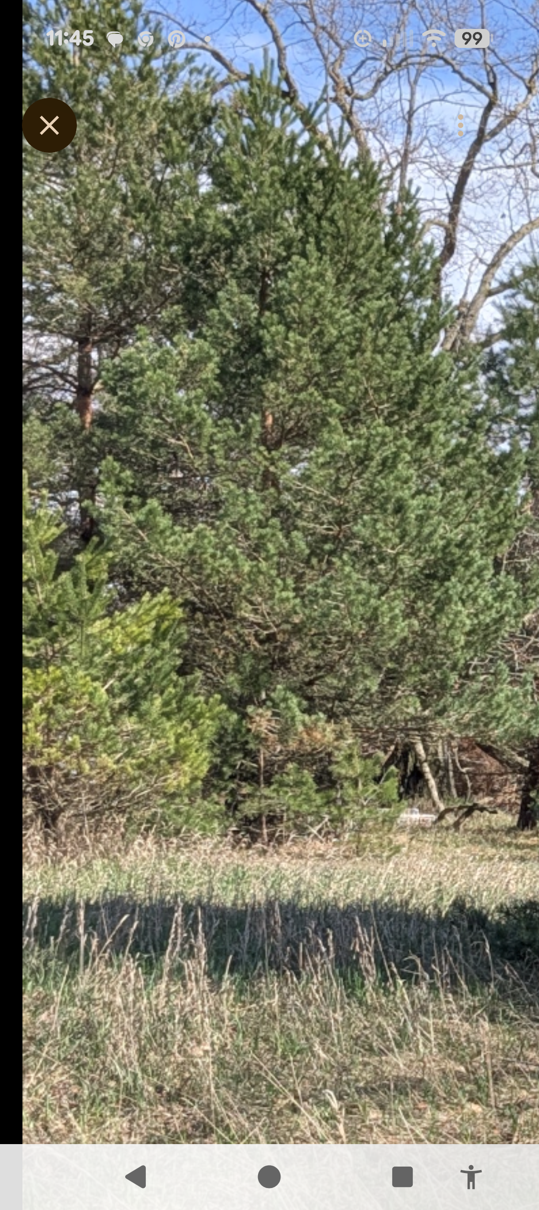 1003 Kent, Lake Isabella, MI 48893 - #1