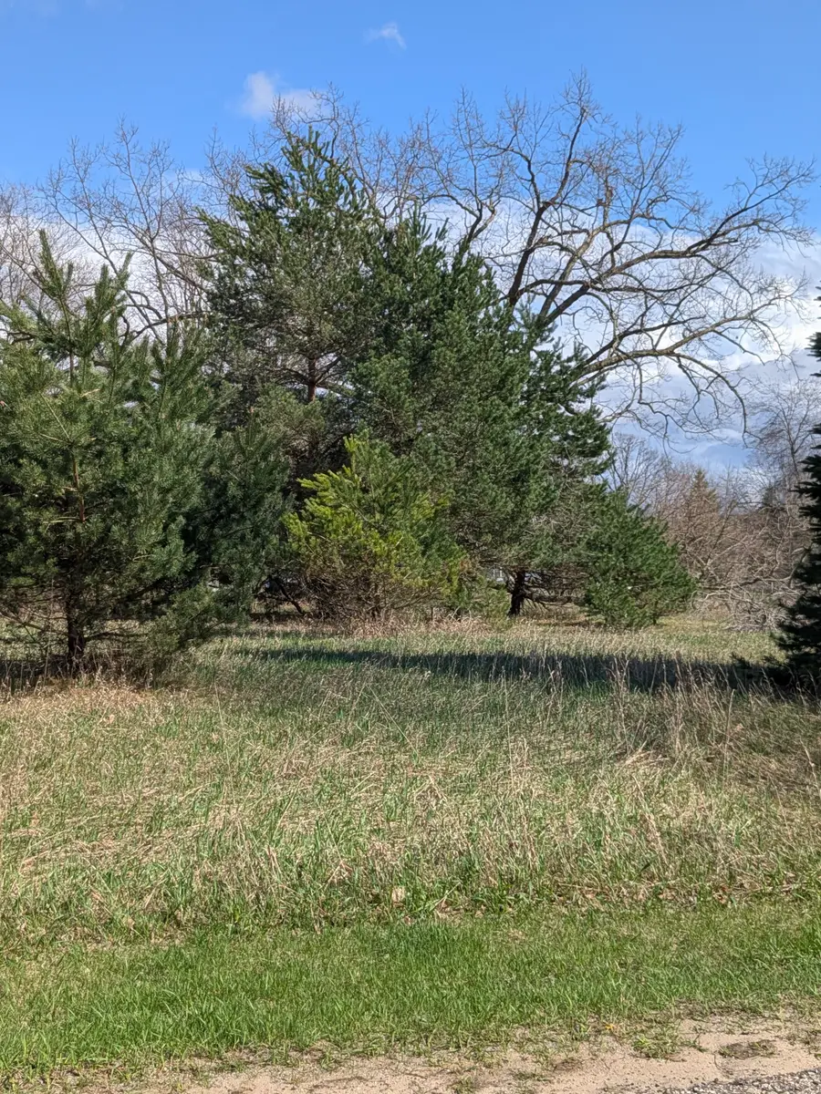 1003 Kent, Lake Isabella, MI 48893 - #2