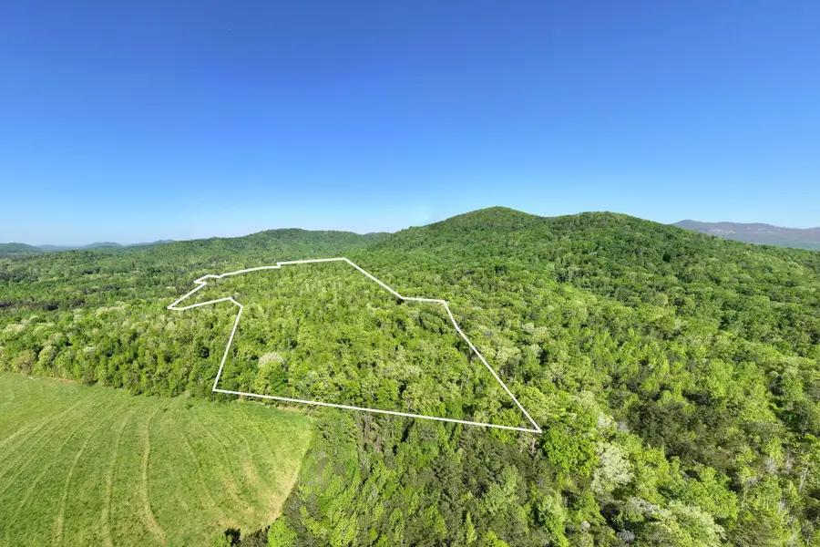 118 Harris Road, Pickens, SC 29671 - #3