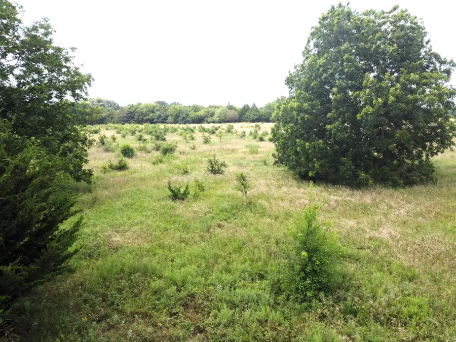Lot 5 Cr 1400, Ravenna, TX 75476 - Image #2