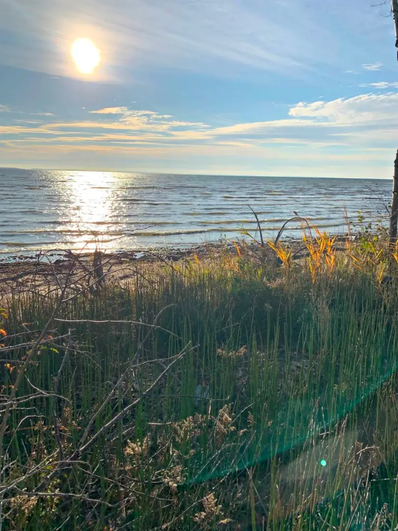 TBD M-35, Menominee, MI 49858 - Image #1