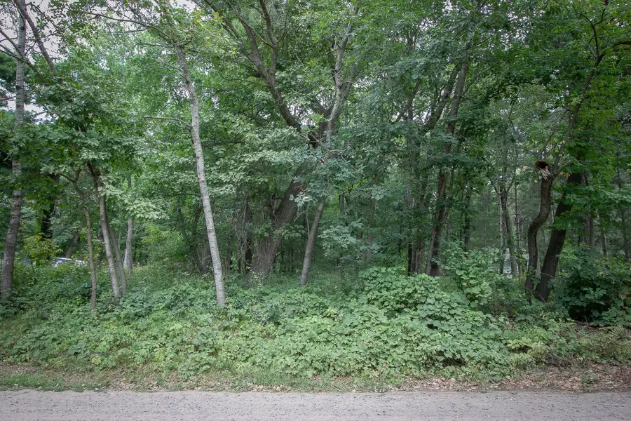 TBD 241st Avenue Ne, Stacy, MN 55079 - #2