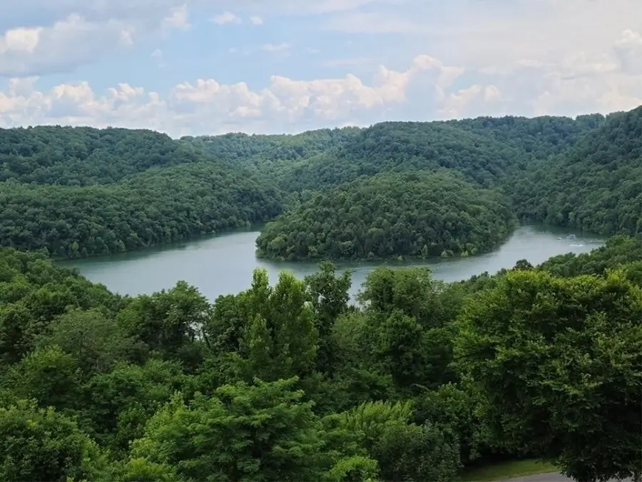 20 Bella Grace Dr, Smithville, TN 37166 - Image #3