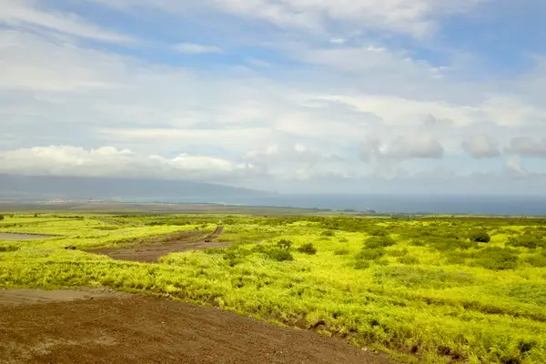 189 Hokupa St #Lot 36, Makawao, HI 96768