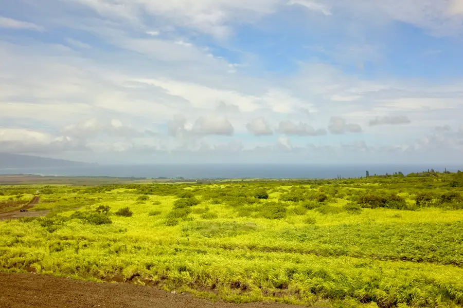 189 Hokupa St #Lot 36, Makawao, HI 96768 - #3