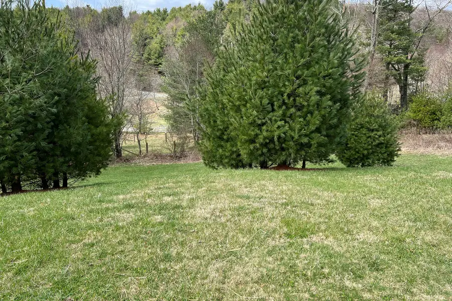 Lot 5 Cora's Path, Blowing Rock, NC 28605 - Image #2