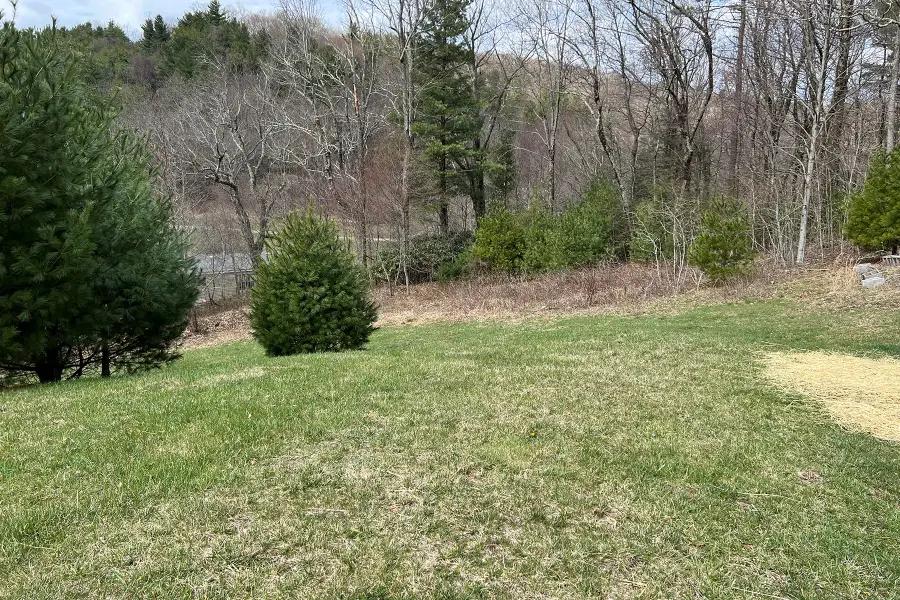 Lot 5 Cora's Path, Blowing Rock, NC 28605 - Image #3