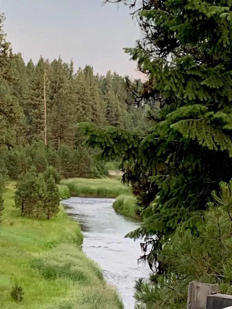 Lot 31 Round Valley Road, New Meadows, ID 83654 - #3