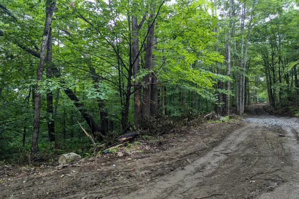0 Dover Road, Newfane, VT 05351
