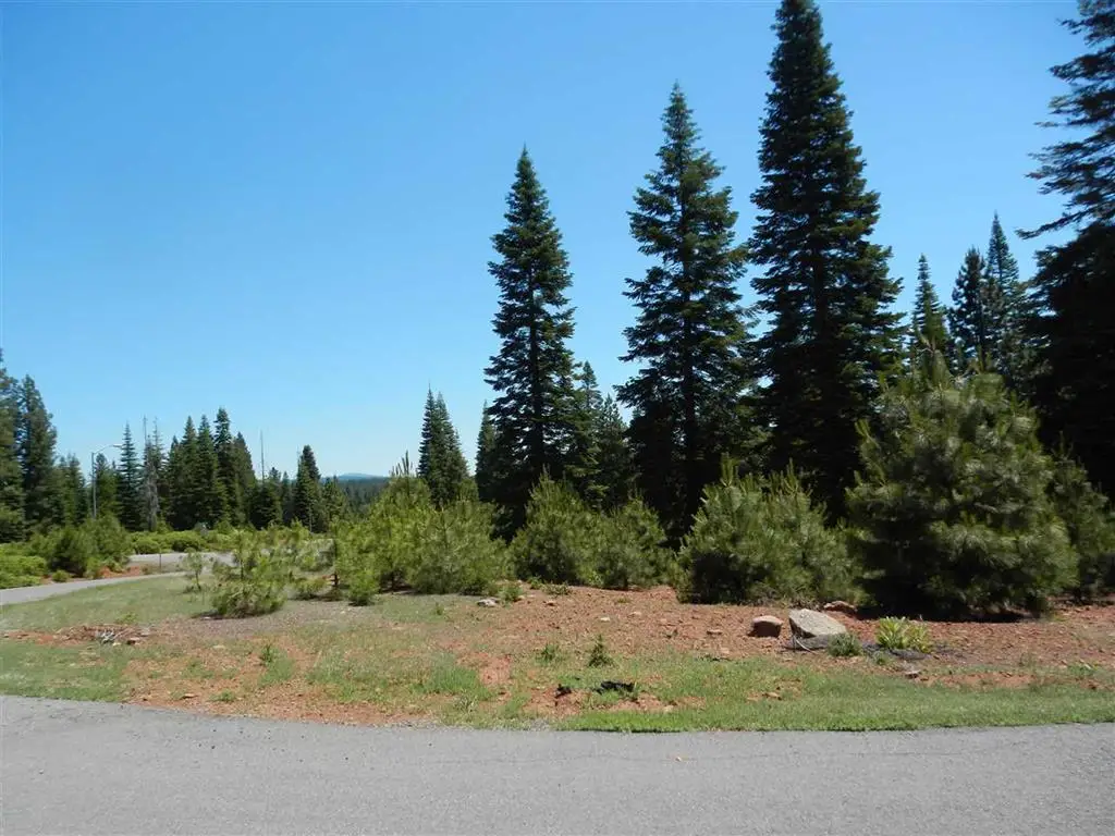 274 Snowy Peak, Lake Almanor Peninsula, CA 96137 - Image #1