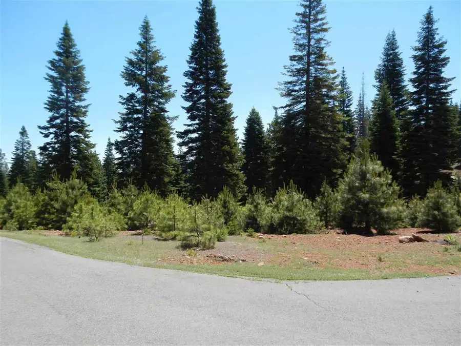 274 Snowy Peak, Lake Almanor Peninsula, CA 96137 - Image #2