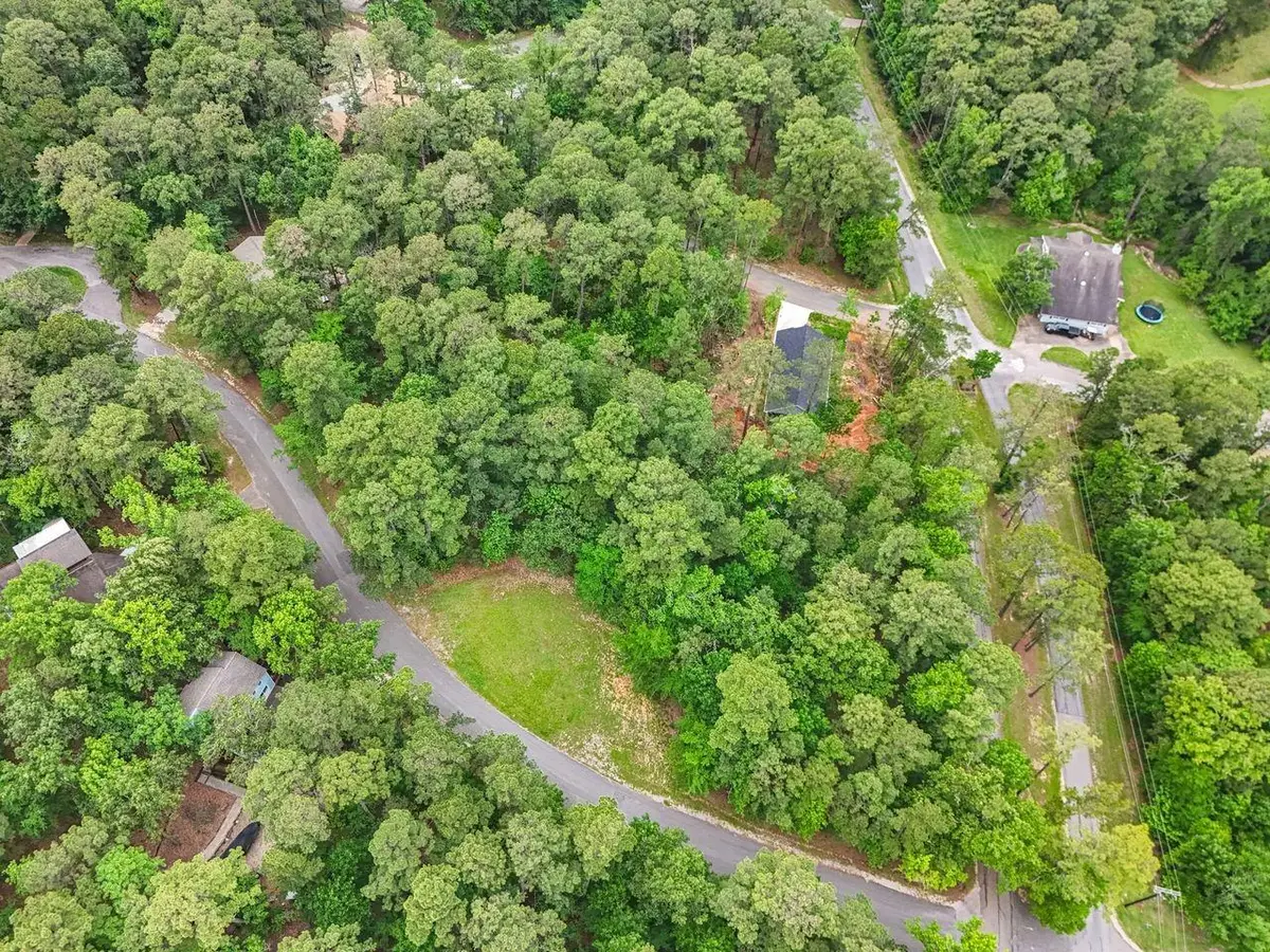 75 S Fairway Loop, Coldspring, TX 77331 - #1