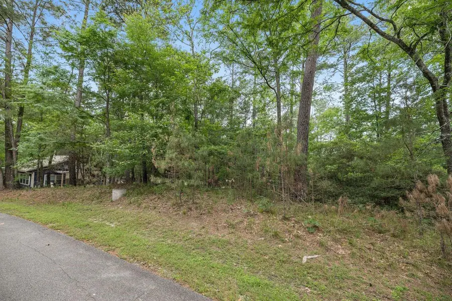 75 S Fairway Loop, Coldspring, TX 77331 - #2