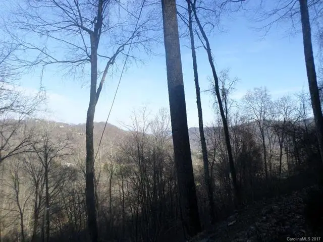 62 Turkey Hollow Drive #62, Waynesville, NC 28785 - Image #1