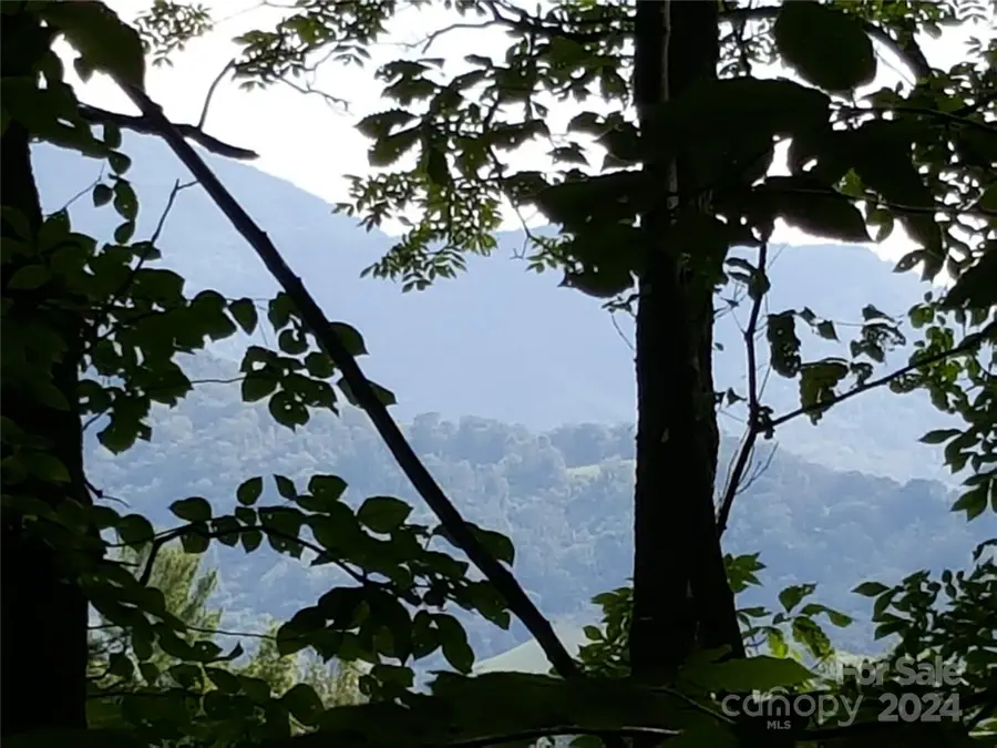 62 Turkey Hollow Drive #62, Waynesville, NC 28785 - Image #2