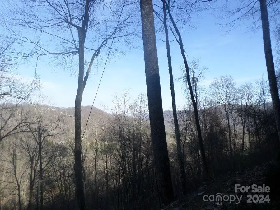 62 Turkey Hollow Drive #62, Waynesville, NC 28785 - Image #3