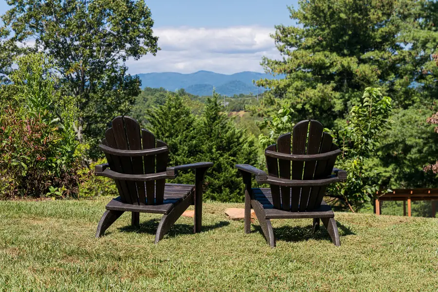 116 Dix Creek Chapel Road, Asheville, NC 28806 - Image #2